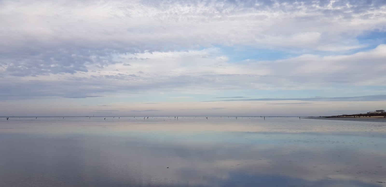 Breathwork Session „Pause and Reflect“ – 11.12.2025